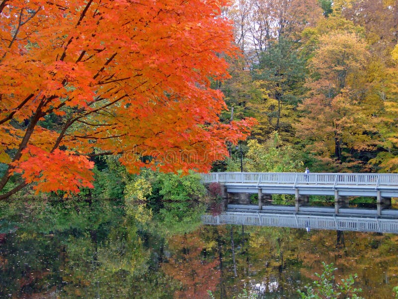 A walkway along a reflective pond in autumn. A walkway along a reflective pond in autumn.