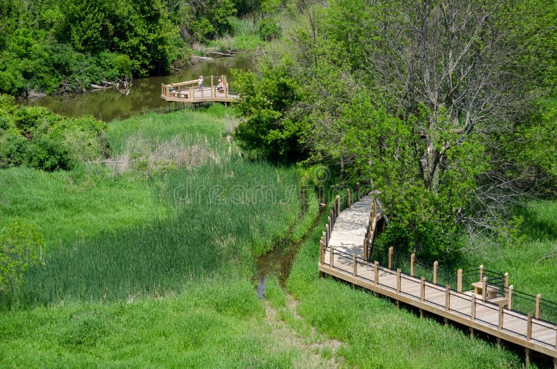 Passaggio pedonale attraverso le zone umide ed al fiume di Galien immagini stock libere da diritti Passaggio pedonale attraverso le zone umide ed al fiume di Galien immagini stock libere da diritti