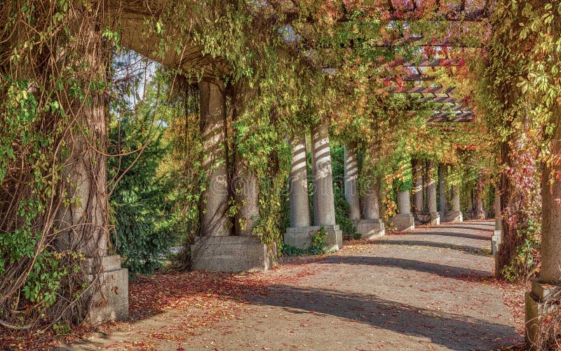 Passaggio pedonale della pergola in parco immagini stock libere da diritti Passaggio pedonale della pergola in parco immagini stock libere da diritti
