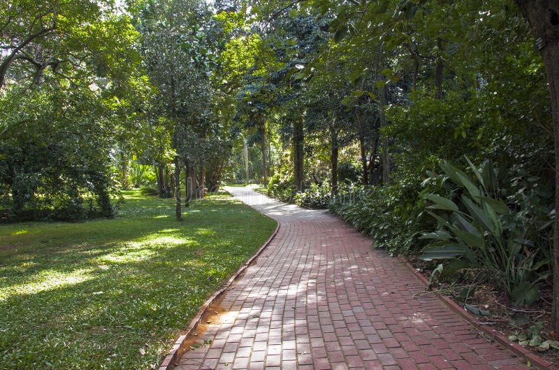 Passaggio pedonale pavimentato del mattone rosso che conduce nel paesaggio botanico fotografie stock Passaggio pedonale pavimentato del mattone rosso che conduce nel paesaggio botanico fotografie stock