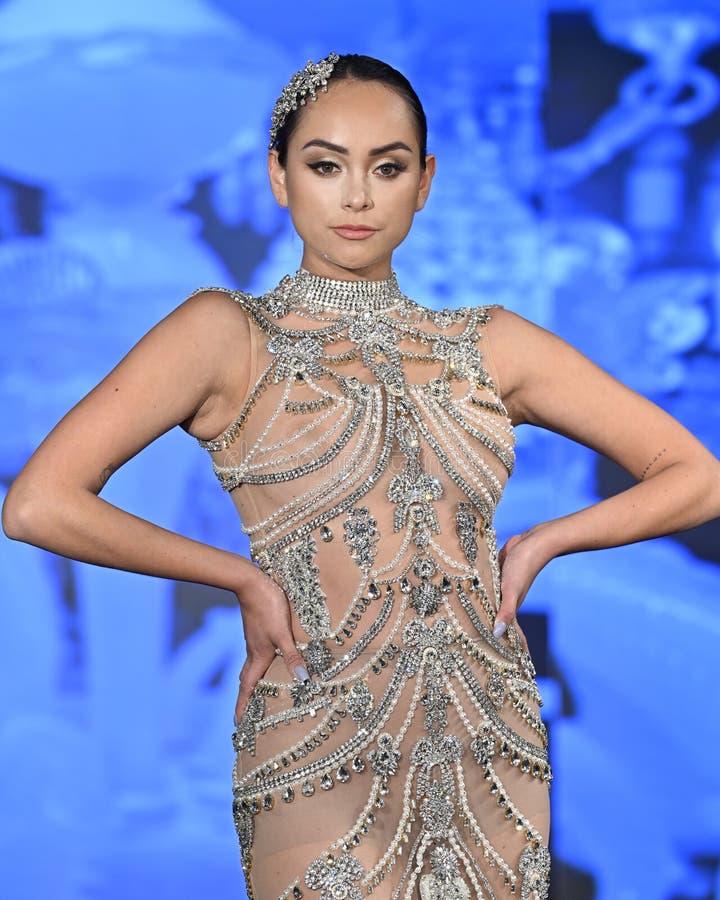 Passeggiate per il designer giannina azar gianninaazar immagini stock libere da diritti