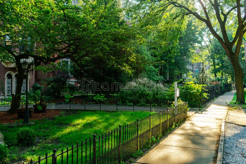 passeio Árvore-alinhado em Lincoln Park Neighborhood de Chicago durante a tarde imagem de stock passeio Árvore-alinhado em Lincoln Park Neighborhood de Chicago durante a tarde imagem de stock
