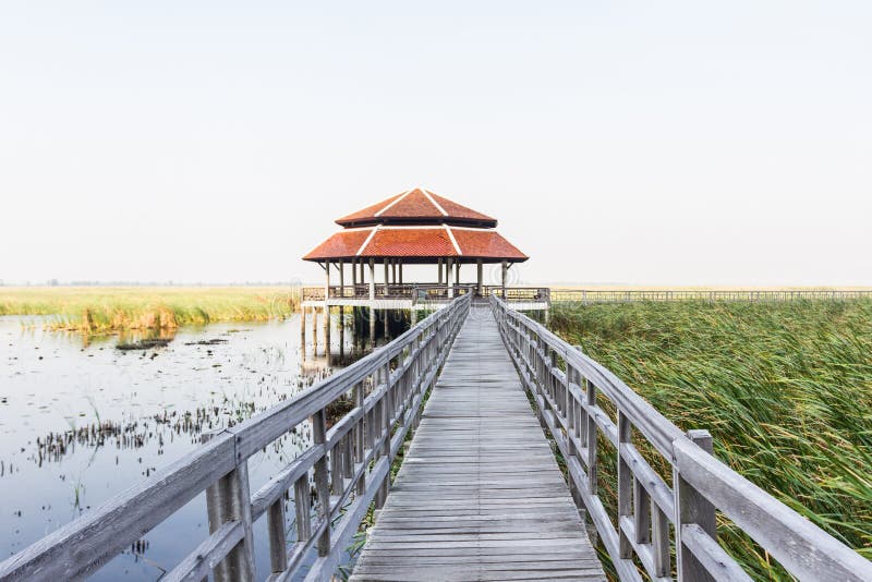 Passerelle en bois dans le lac de lotus au stationnement national de yod de ROI de Sam de khao image stock Passerelle en bois dans le lac de lotus au stationnement national de yod de ROI de Sam de khao image stock