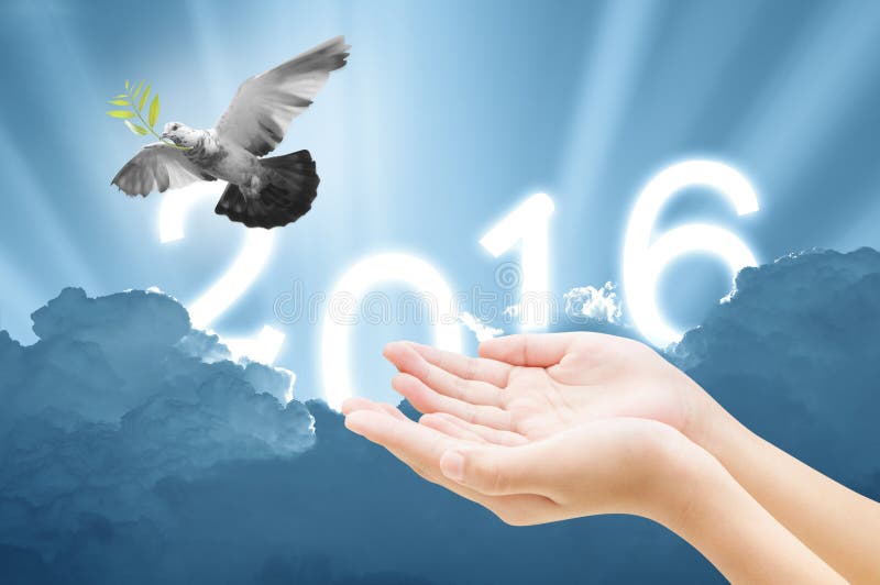 Hand releasing a bird into the air on sky 2016 background , all concept , beauty ,freedom,peace ,spirituality. Hand releasing a bird into the air on sky 2016 background , all concept , beauty ,freedom,peace ,spirituality