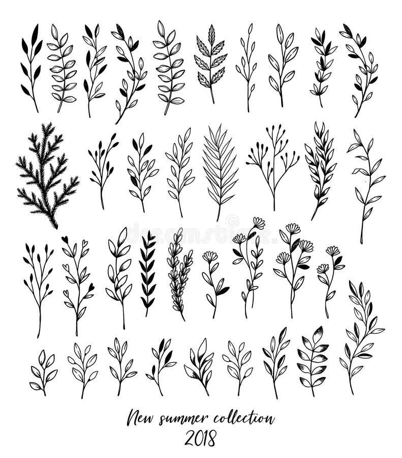 Passi a vettore schizzato le foglie floreali degli elementi, i fiori, i turbinii a illustrazione di stock