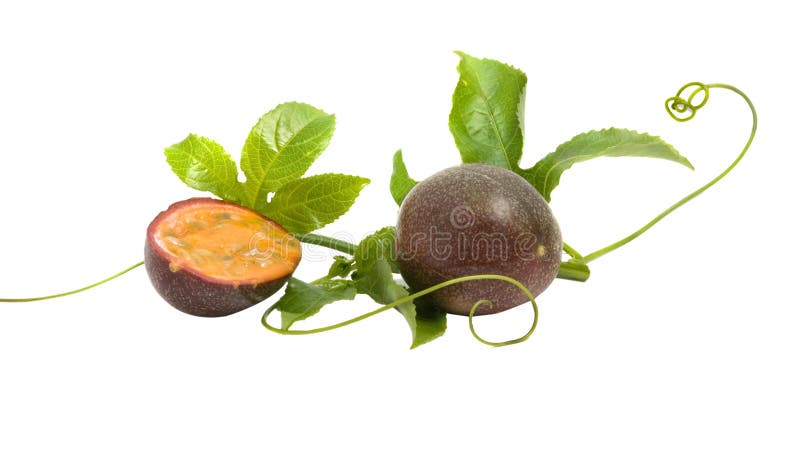 Passiflora fruits and vine