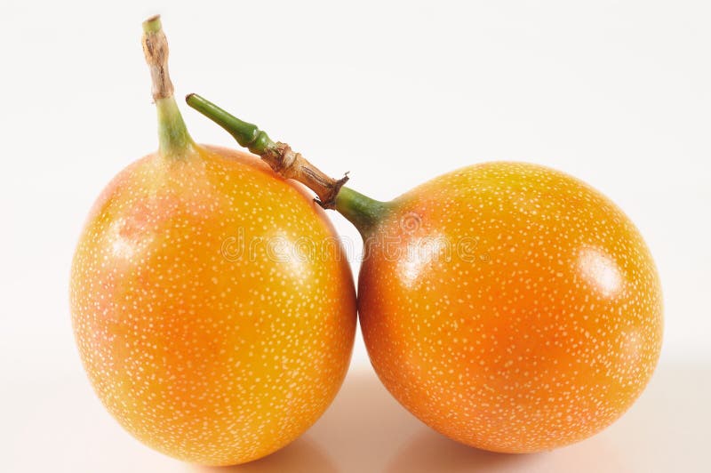 Passiflore comestible de passiflore photos stock Passiflore comestible de passiflore photos stock