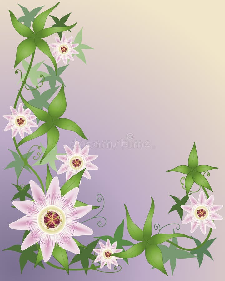 Passion flower royalty free illustration