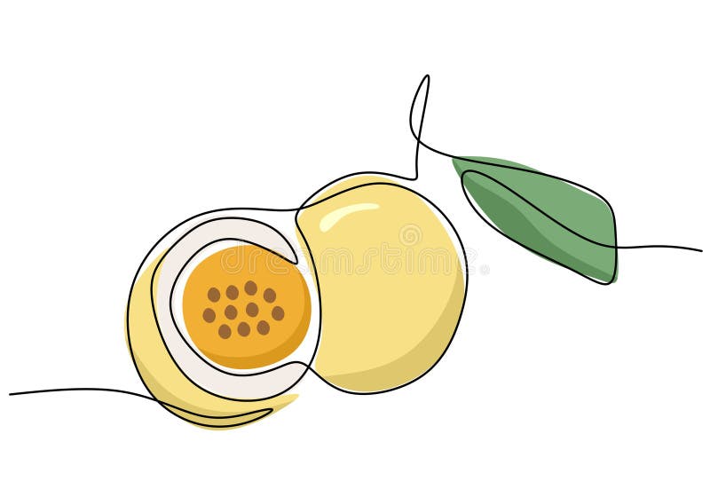 Passion Fruit Continuous One Line Drawing, Fruit Vector Illustration
