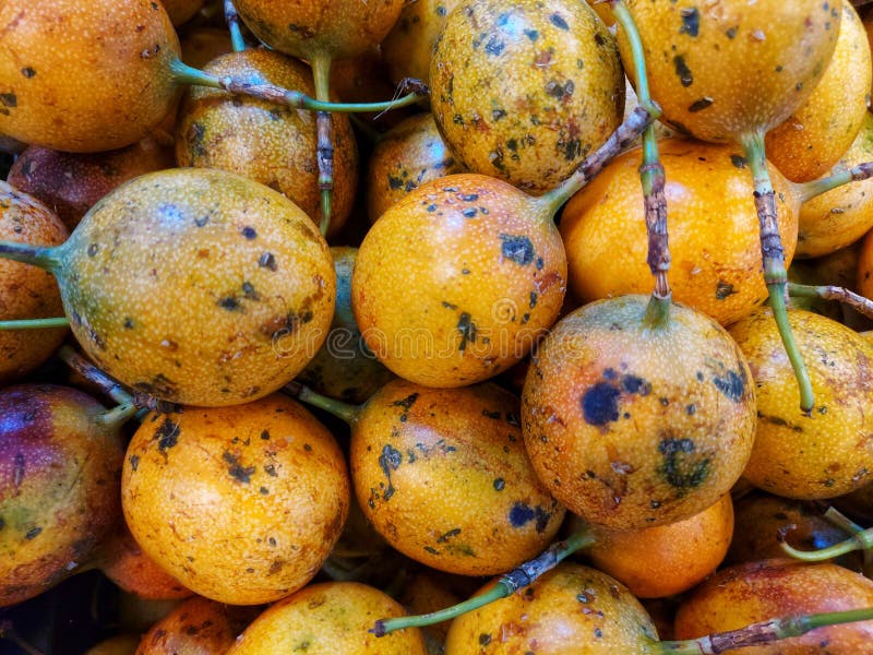 Passion Fruit with Sweet Taste Stock Photo Image of flower, orange