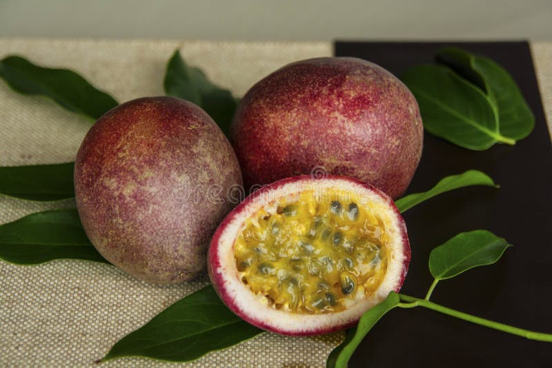 Passiontropical Stock Photos - Free & Royalty-Free Stock Photos from