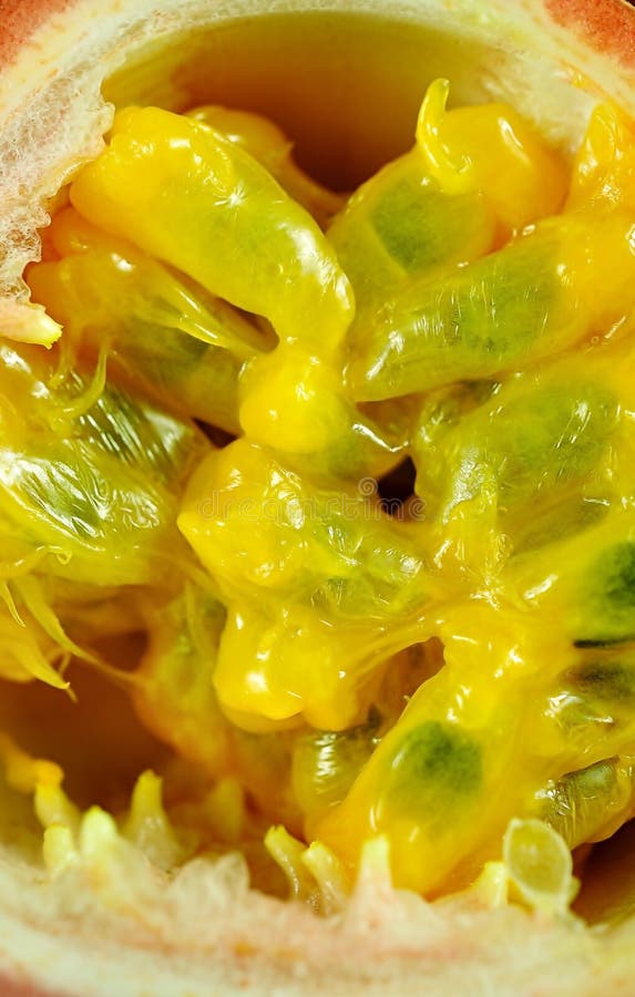 Passionfrukter som isoleras på vit bakgrund arkivfoto Passionfrukter som isoleras på vit bakgrund arkivfoto