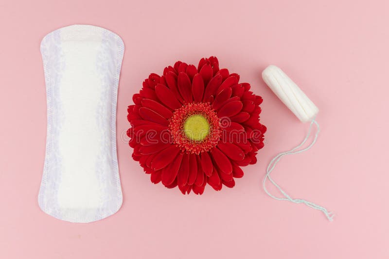 Almofada Sanitária Da Menstruação Com Grânulos, Calças Cor-de-rosa Para a  Proteção Da Higiene Da Mulher Proteção Macia Macia Por Foto de Stock -  Imagem de sangramento, medicina: 90714468