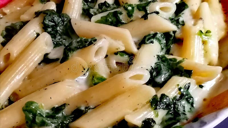 Pasta Mit Gorgonzola Und Spinat - Rezepte Suchen Pasta Mit Gorgonzola Und Spinat - Rezepte Suchen