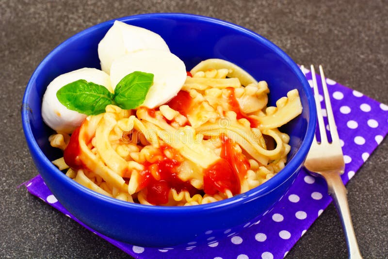 Pasta with Tomato Sauce Ketchup, Mozzarella and Basil Stock Image