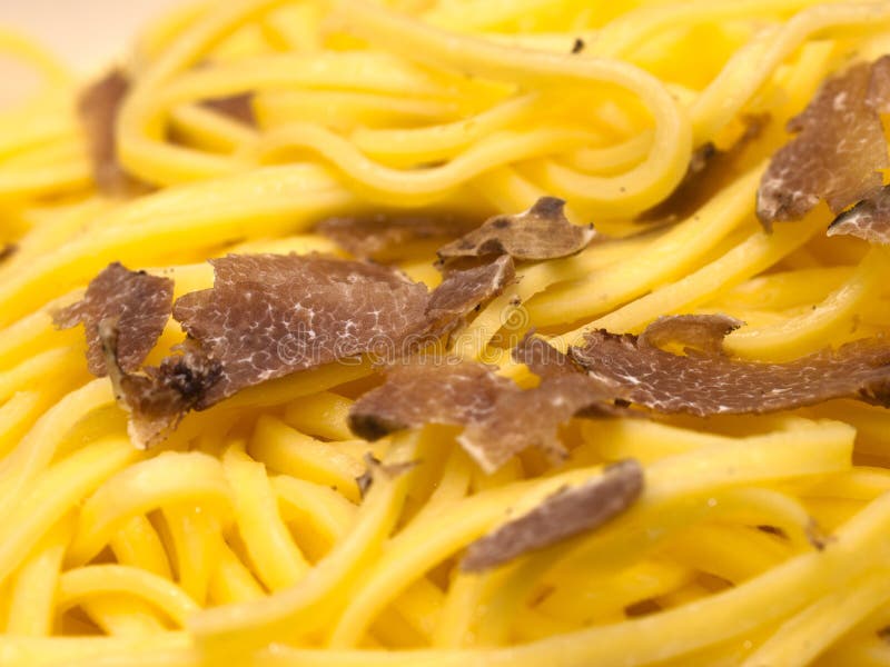 Pasta with white truffle