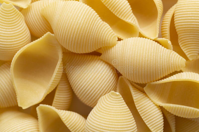 Pastas italianas bajo la forma de concha marina gigante - Cancelloni Pastas para llenar fotografía de archivo libre de regalías Pastas italianas bajo la forma de concha marina gigante - Cancelloni Pastas para llenar fotografía de archivo libre de regalías