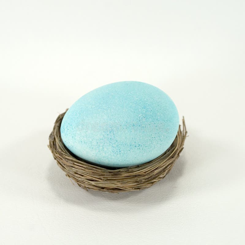 Pastel Blue Egg Picture. Image 3927864