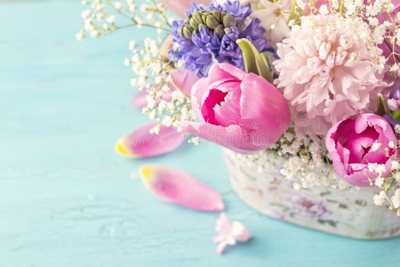 Pastel colored flower stock photo. Image of nature, blossom 111046918