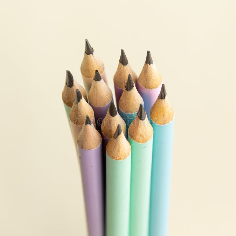 Pastel Colored Pencils on Empty Sheet Stock Image Image of business