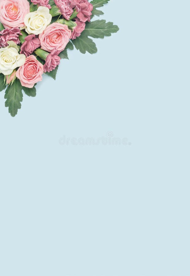 Pastel Colored Roses on a Light Blue Background. Stock Photo Image of