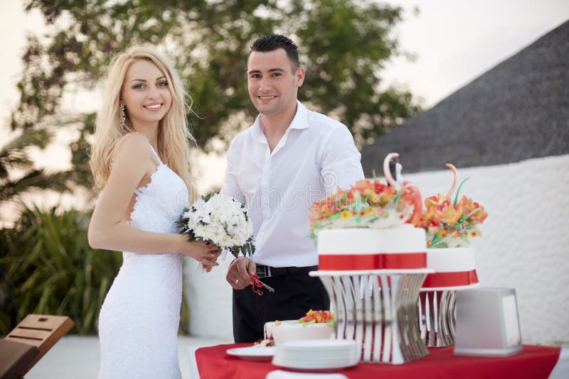 Pastel de bodas del corte del novio y de la novia en la playa de la isla tropical en Maldivas con las palmas y casa de planta baj imagenes de archivo Pastel de bodas del corte del novio y de la novia en la playa de la isla tropical en Maldivas con las palmas y casa de planta baj imagenes de archivo