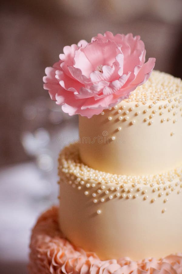 Pastel de bodas festivo de varias gradas imagenes de archivo Pastel de bodas festivo de varias gradas imagenes de archivo