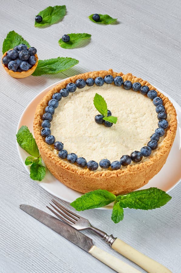 Pastel de queso hecho en casa con las bayas frescas en la placa blanca adornada con los arándanos, las hojas de menta, el cuchill fotos de archivo libres de regalías Pastel de queso hecho en casa con las bayas frescas en la placa blanca adornada con los arándanos, las hojas de menta, el cuchill fotos de archivo libres de regalías