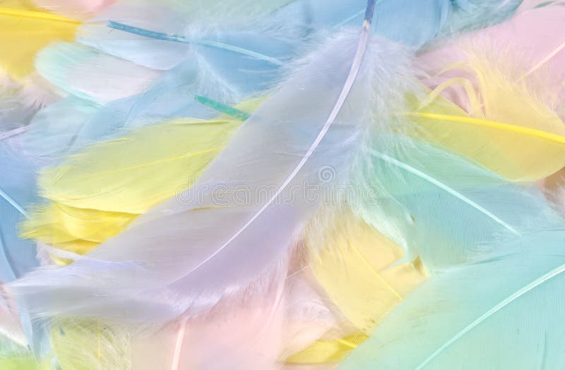 Pastel Feathers 2 stock image