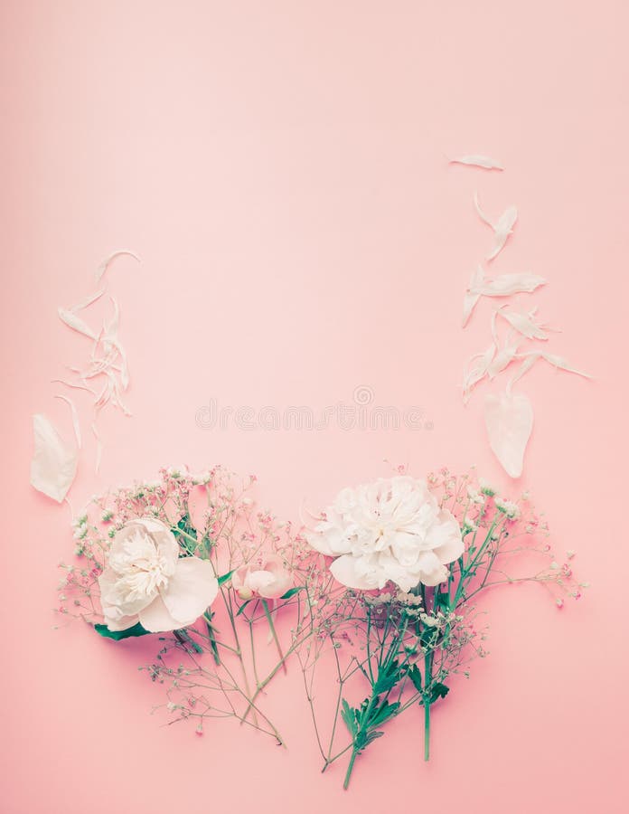 Pastel flowers frame with peony and petals on pink background