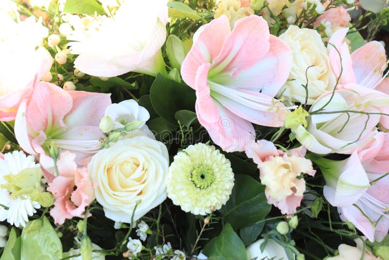 Pastel spring flowers stock image. Image of amaryllis 204960747