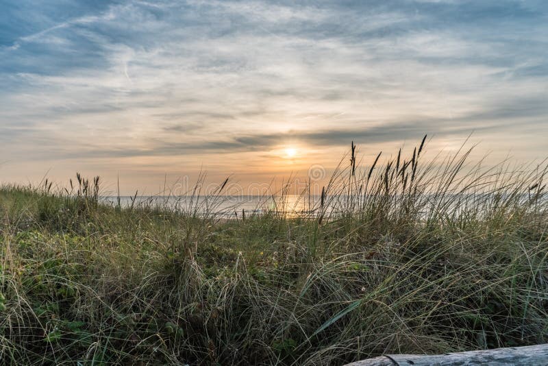 Pastel sunset over dunes vegetation and North Sea