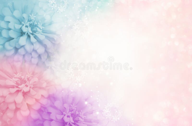 Pastelowych menchii kwiatu purpurowa błękitna rama na miękkim bokeh rocznika tle