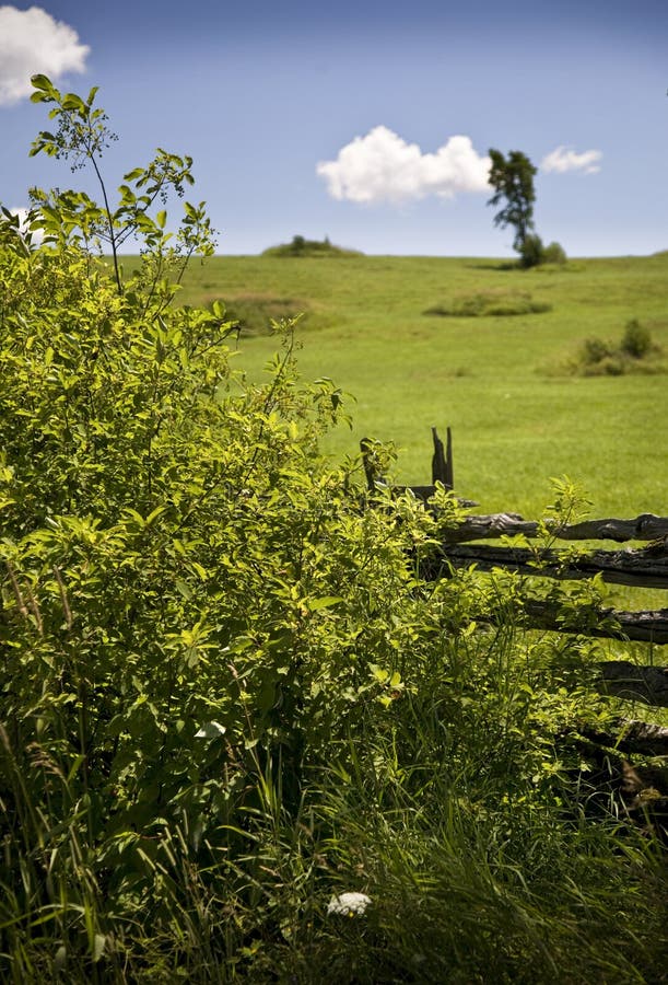 Pastoral Farm Land stock image. Image of fence, field 13345005