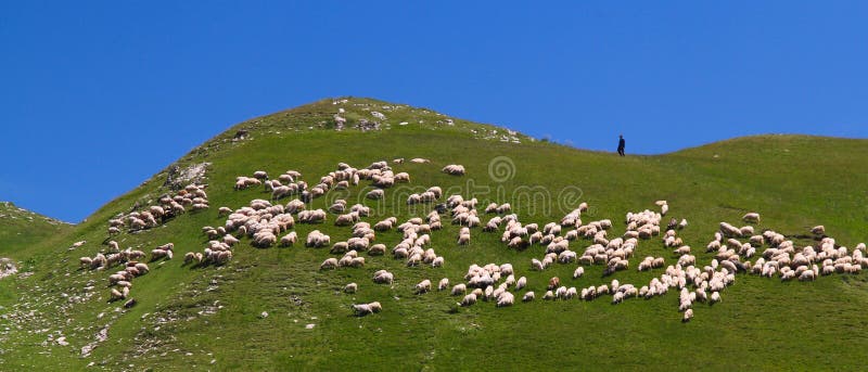 Pastore e la sua moltitudine immagini stock libere da diritti Pastore e la sua moltitudine immagini stock libere da diritti