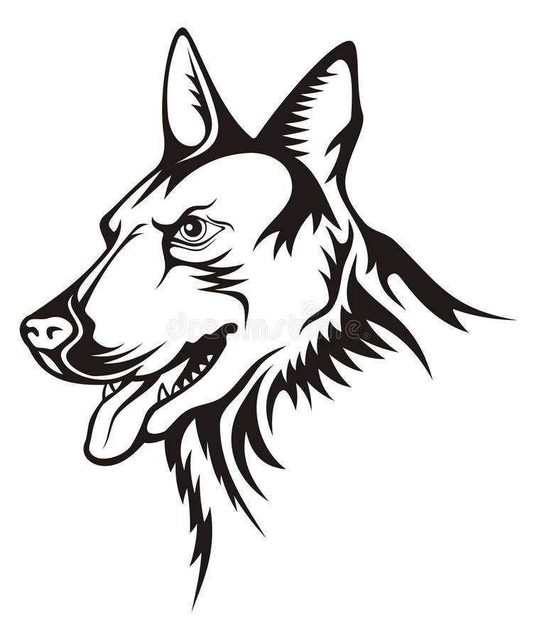 Pastore Tedesco Della Testa Di Cane Di Razza Illustrazione Vettoriale - Foto 5