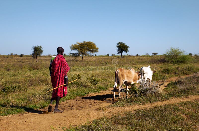 Pastore ugandese del karamojong fotografie stock Pastore ugandese del karamojong fotografie stock