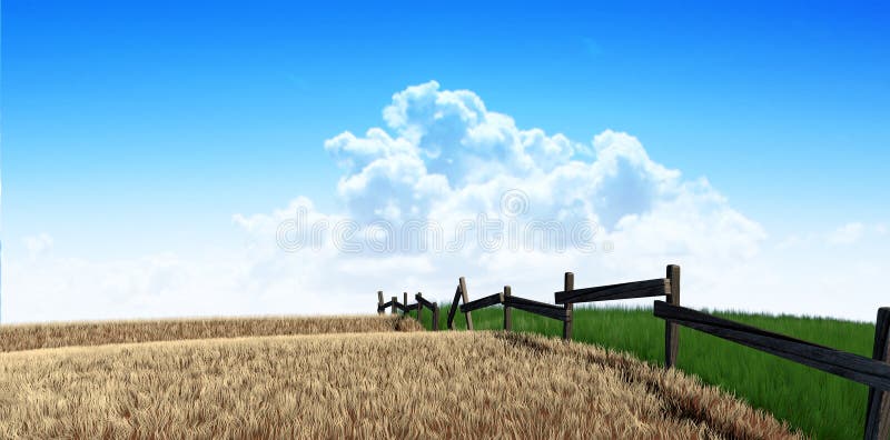 A meadow symmetrically cut split by a wooden fence with one side flourishing and the other withering symbolising the saying greener pastures on a blue sky background. A meadow symmetrically cut split by a wooden fence with one side flourishing and the other withering symbolising the saying greener pastures on a blue sky background