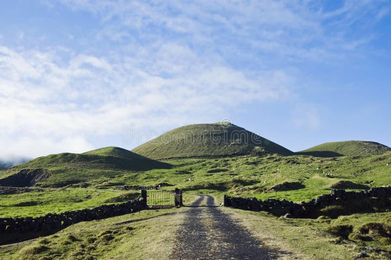 Pasture fields in Pico island, Azores