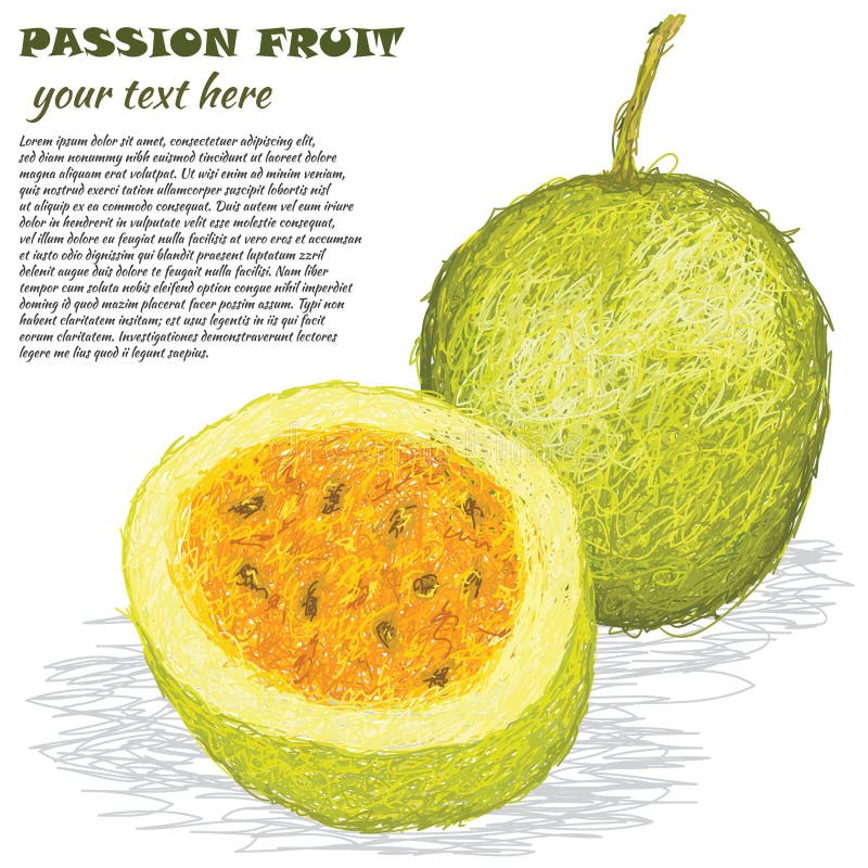 Closeup illustration of fresh passion fruit in white background. Closeup illustration of fresh passion fruit in white background.