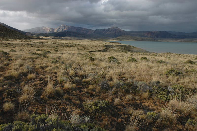 Patagonie Solitaire et Balayée par les Vents photographie stock