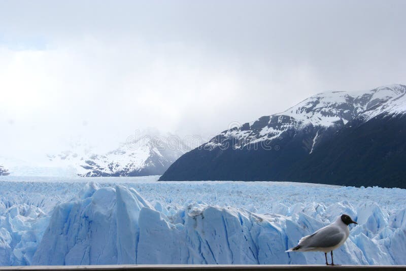 Patagonia Landscape, south of Argentina