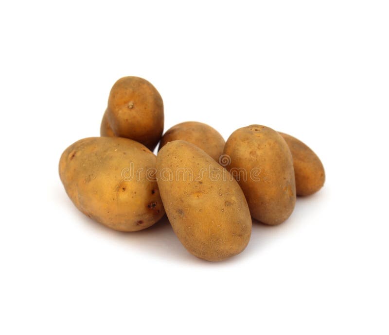 Patatas aisladas en el fondo blanco fotografía de archivo libre de regalías Patatas aisladas en el fondo blanco fotografía de archivo libre de regalías