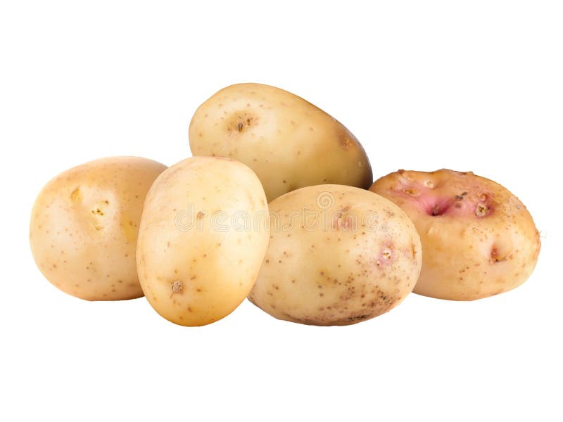 Patate fresche isolate in bianco fotografie stock libere da diritti