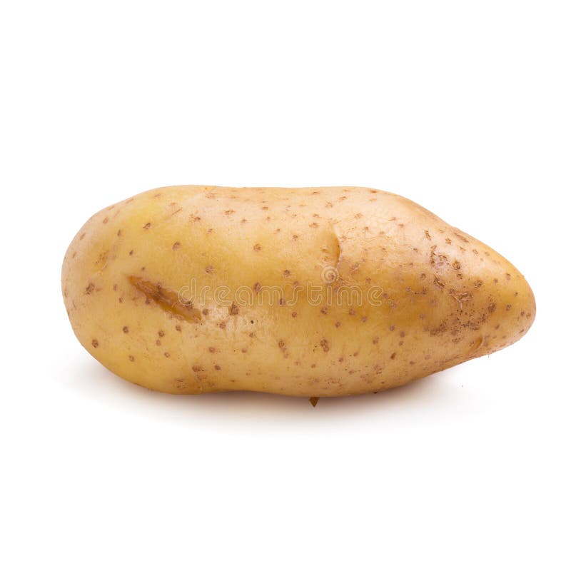 Patate fresche isolate sopra un fondo bianco immagini stock libere da diritti