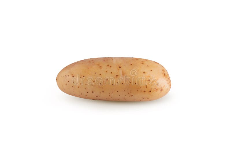 Patate non trattate isolate su fondo bianco immagine stock libera da diritti