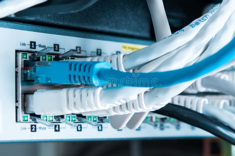 Patch cables connected to data router royalty free stock photo