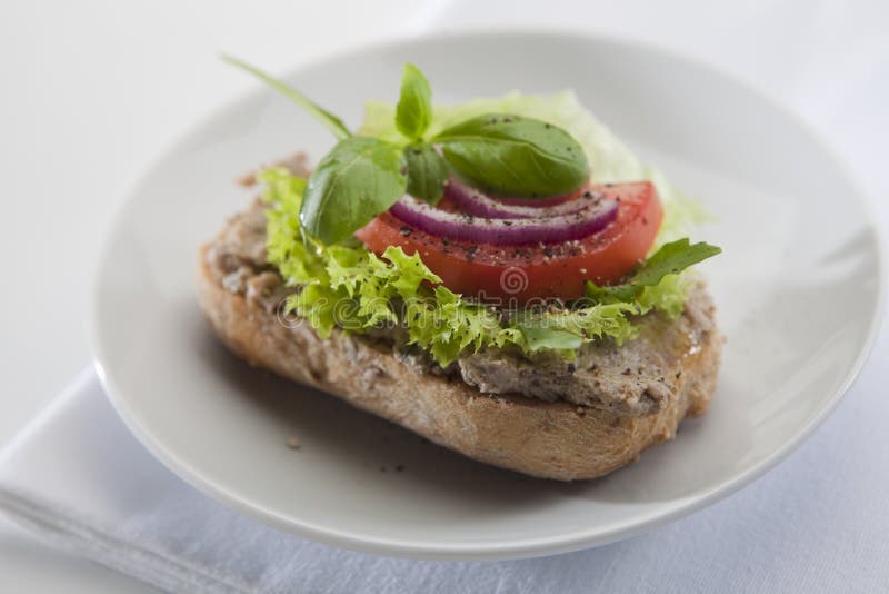 Pate Sandwich on Plate. stock photo. Image of gastronomy 31805274
