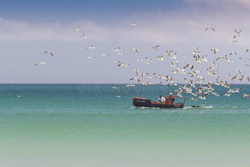 Paternoster, South Africa - 22 December 2018: Sea fishing boat with two fishermen and their catch with seagulls following coming