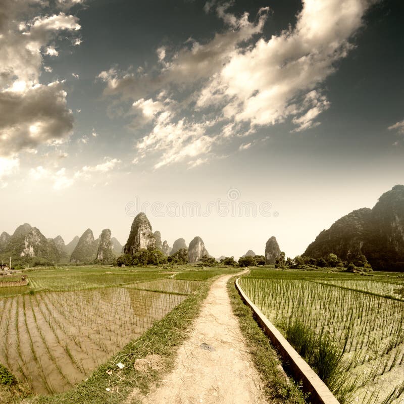 Path across the fields